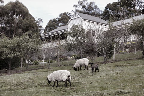House On The Hill Bed And Breakfast - Mackay Tourism 19
