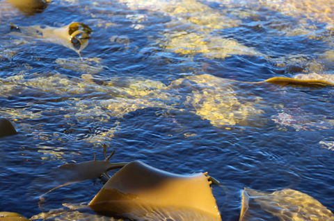 Blu-Sea 365 - Mackay Tourism 28