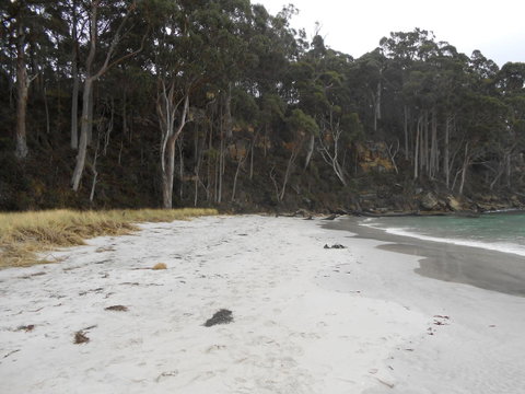 Bruny Ocean Cottage - Mackay Tourism 12