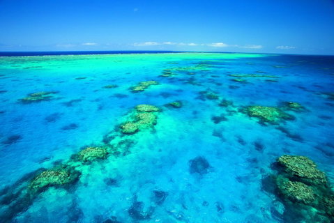 NRMA Cairns Holiday Park - Mackay Tourism 1
