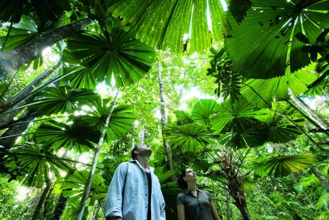 NRMA Cairns Holiday Park - Mackay Tourism 0