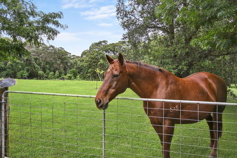 NUNGAROO COTTAGE - Mackay Tourism 3