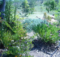 Old Miners' Cottages Bed and Breakfast - Mackay Tourism