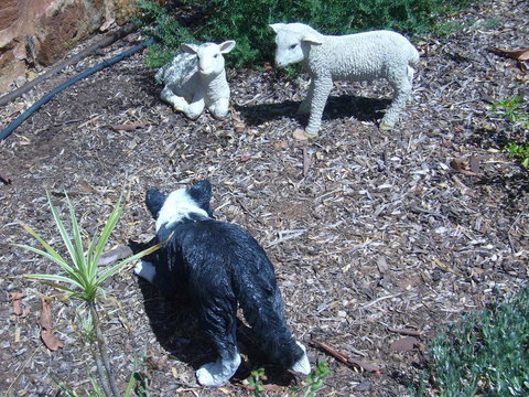 Old Miners' Cottages Bed And Breakfast - Mackay Tourism 2