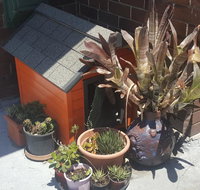 Orange Grove Hotel - Mackay Tourism