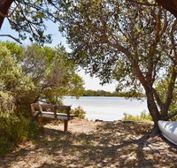 Oystercatcher - On the banks of the lagoon - Mackay Tourism