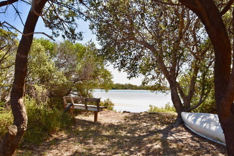 Oystercatcher - On The Banks Of The Lagoon - Mackay Tourism 0