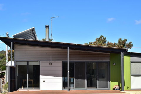 Oystercatcher - On The Banks Of The Lagoon - Mackay Tourism 3