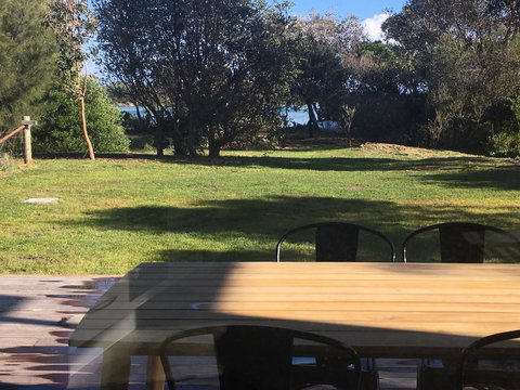 Oystercatcher - On The Banks Of The Lagoon - Mackay Tourism 2