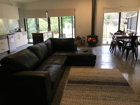 Oystercatcher - On The Banks Of The Lagoon - Mackay Tourism 1