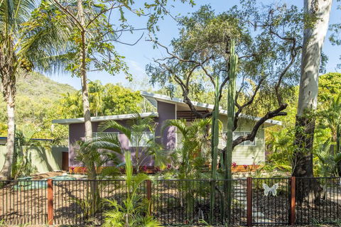 Papillon Bleu - Mackay Tourism 0