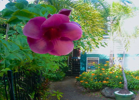Paradise Travellers Rest - Mackay Tourism 1