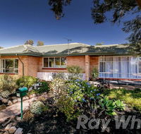 pasadena quinlan - Mackay Tourism