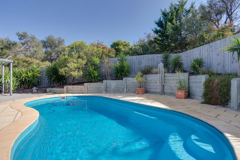 Paws Up Poolside - Mackay Tourism 1