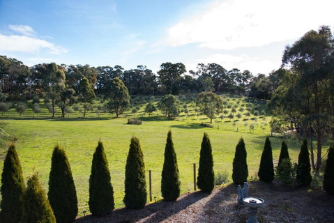 Phoenix - Mackay Tourism 3