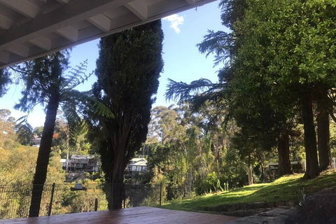 Pine Hill Cottage Acreage In Nature Trees Views Mid Katoomba Leura - Mackay Tourism 3