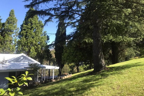 Pine Hill Cottage Acreage In Nature Trees Views Mid Katoomba Leura - Mackay Tourism 1