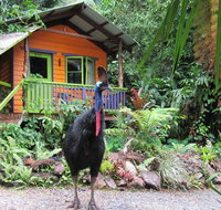 Rainforest Hideaway - Mackay Tourism