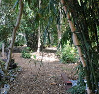 Rainforest Water Front River Shack Secluded. - Mackay Tourism