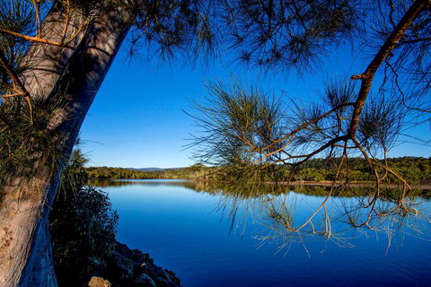 Reflections Holiday Parks Ferry Reserve - Mackay Tourism 3