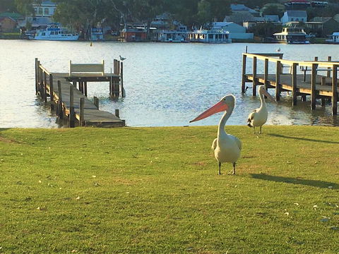 Riverfront Getaway - Mannum - Mackay Tourism 0
