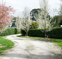 Robin Hill Manor - rambling retreat  tennis court - Mackay Tourism