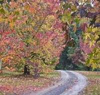 Rustic Spirit - Mackay Tourism