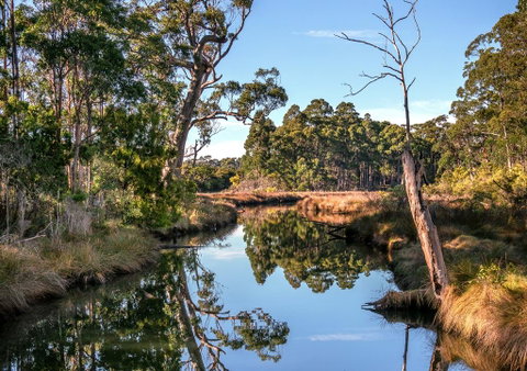 Saintys Creek Cottage - Mackay Tourism 3