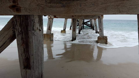 Seagrass 3 - Mackay Tourism 1