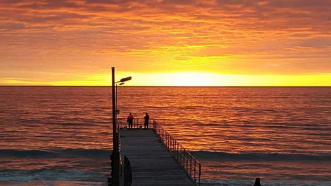 Seagrass 3 - Mackay Tourism 3