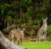 Secura Lifestyle Countryside Kalaru - Mackay Tourism