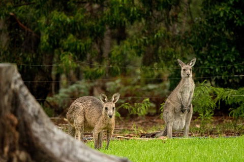 Secura Lifestyle Countryside Kalaru - Mackay Tourism 0