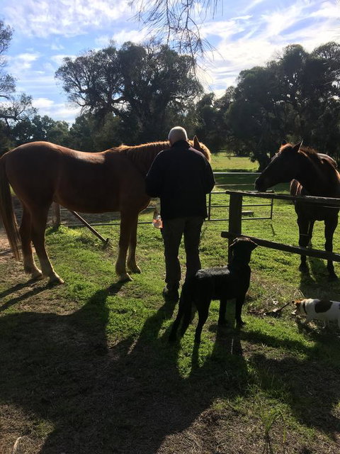 Shetland Park Chalets - Mackay Tourism 2
