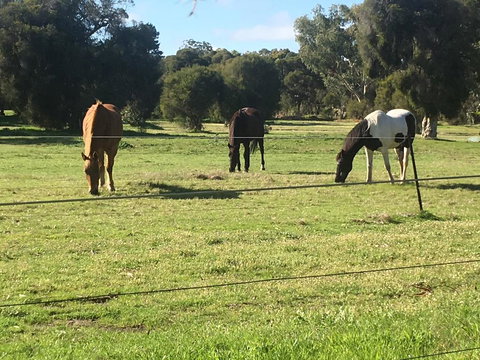 Shetland Park Chalets - Mackay Tourism 1