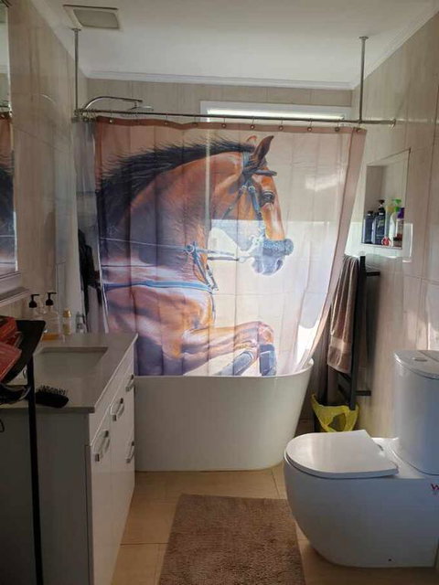 Silverbirch Cottage - Mackay Tourism 3