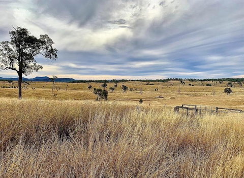 Skyline Farm House - Mackay Tourism 3