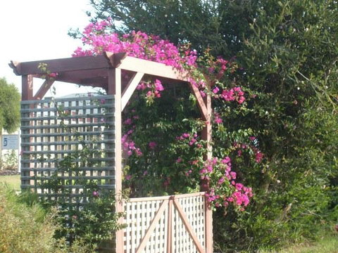 Southern Vales Bed & Breakfast - Mackay Tourism 3