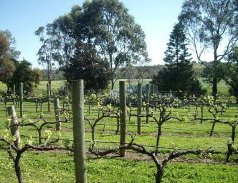 Southern Vales Bed & Breakfast - Mackay Tourism 1