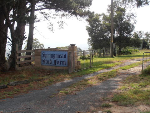 Springmead B&B - Mackay Tourism 2