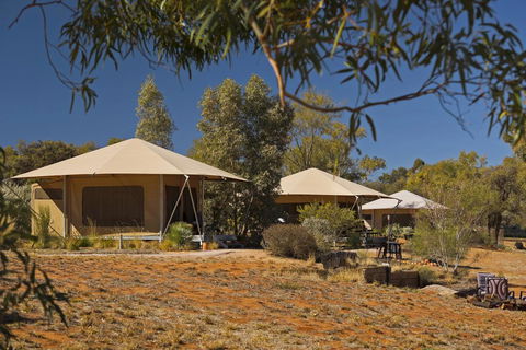 Squeakywindmill Boutique Tent B&B - Mackay Tourism 0