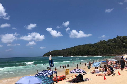 Sunshine Coast Cottage - Mackay Tourism 3