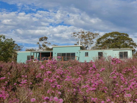 Tea Tree Hollow - 50 Percent Off Third Night On Weekend - Mackay Tourism 1