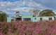 Tea Tree Hollow - 50 Percent Off Third Night On Weekend - thumb 1