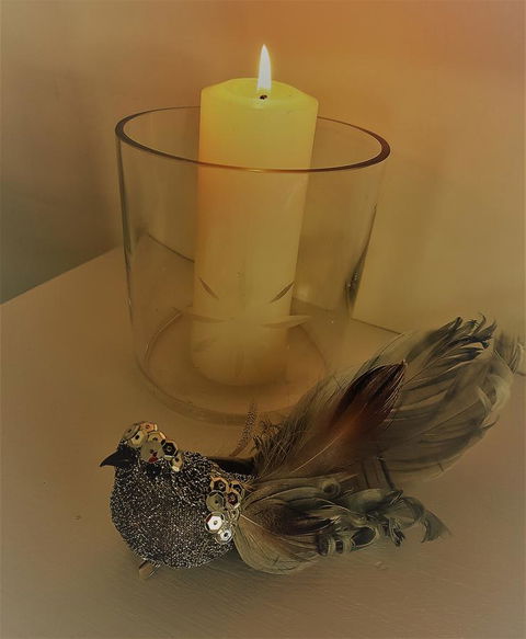 Birch Lane - Mackay Tourism 26