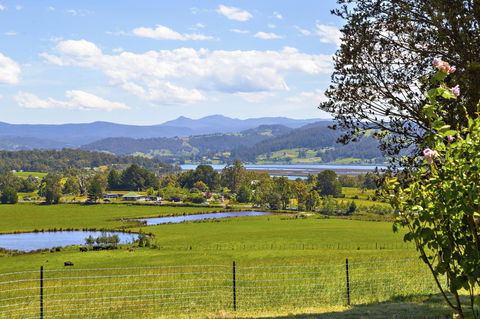 Birch Lane - Mackay Tourism 7