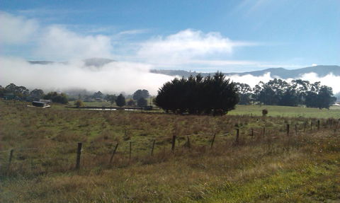 Birch Lane - Mackay Tourism 30