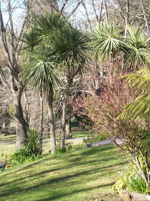 Lucinda B&B - Mackay Tourism 23