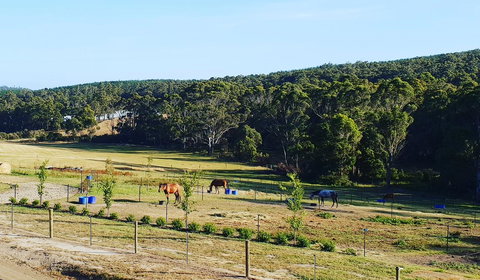 Lockleigh Park - Mackay Tourism 19