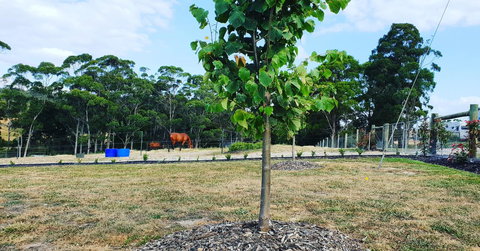 Lockleigh Park - Mackay Tourism 5