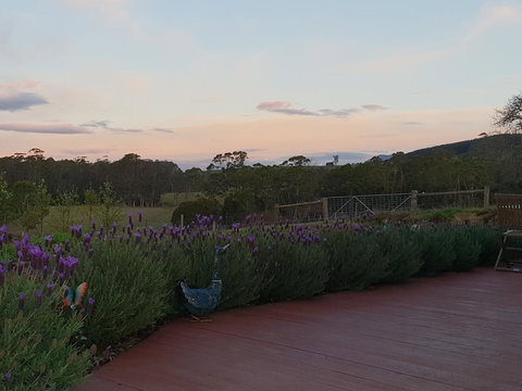 Lockleigh Park - Mackay Tourism 23